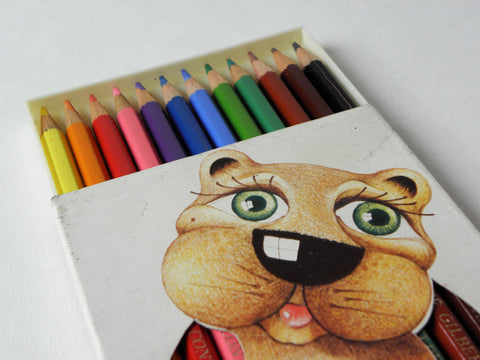 Safari - 12 crayons de couleur